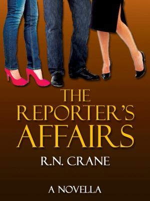 Cover of the book The Reporter's Affairs by Jennifer Denys