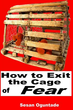 Cover of the book How To Exit The Cage of Fear by Jeffrey S Jensen, CJ McDaniel