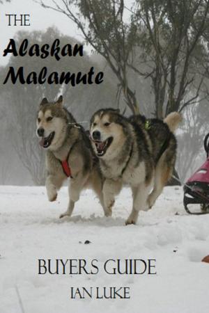 Cover of The Alaskan Malamute- A Buyer's Guide