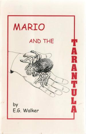 Cover of the book Mario and the Tarantula by James Mason