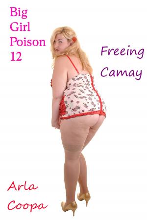Book cover of Big Girl Poison 12: Freeing Camay