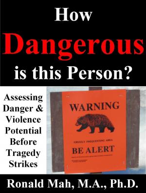 Cover of the book How Dangerous is this Person? Assessing Danger & Violence Potential Before Tragedy Strikes by Melissa A. Hanson