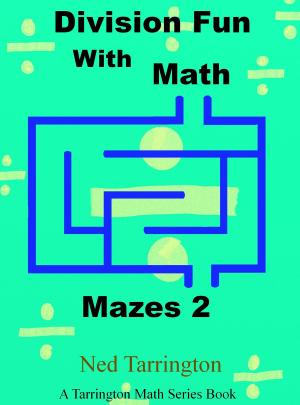 Cover of Division Fun With Math Mazes 2