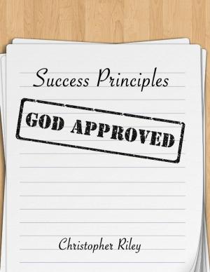 Book cover of Success Principles God Approved