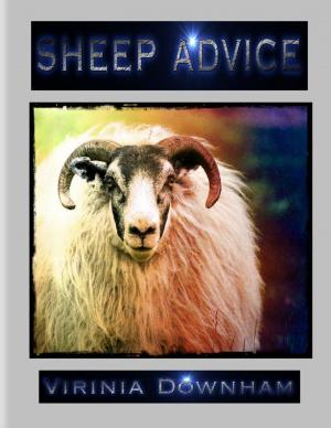 Cover of the book Sheep Advice by Mike Hockney