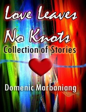 Cover of the book Love Leaves No Knots: Collection of Stories by John Kimmey
