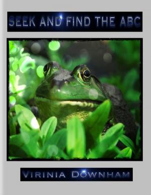 Cover of the book Seek and Find the ABC by Lisa Frieden