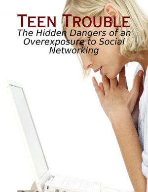 Book cover of Teen Trouble - The Hidden Dangers of an Overexposure to Social Networking