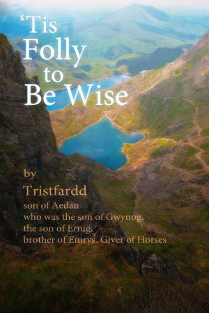 Cover of the book 'Tis Folly To Be Wise by Publishers Lunch