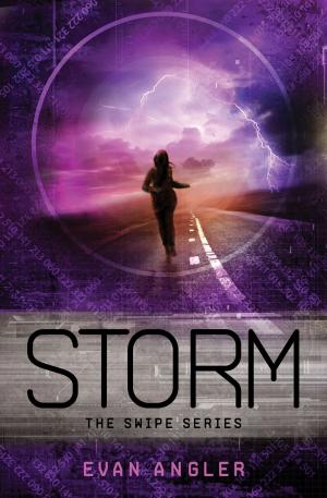 Cover of the book Storm by Kitty Maynard, Lucian Maynard