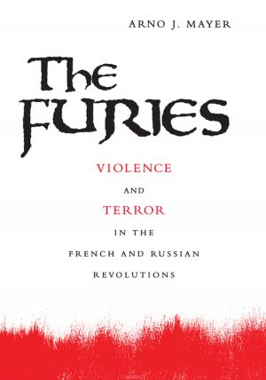 Cover of the book The Furies by Northrop Frye