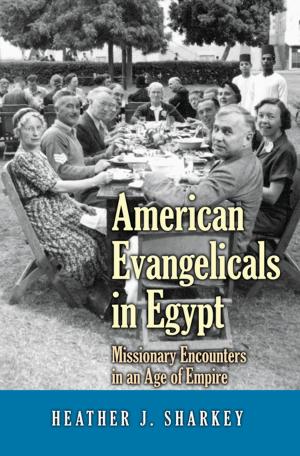 Cover of the book American Evangelicals in Egypt by Christian Gollier