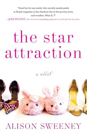 Cover of the book The Star Attraction by Ben Schwartz, Laura Moses