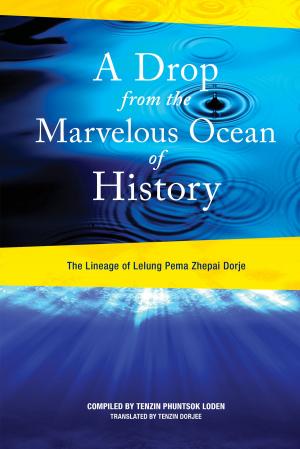 Cover of the book A Drop from the Marvelous Ocean of History by Andrew Vidich, Ph.D.