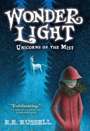 Cover of the book Wonder Light by Catherine Alliott