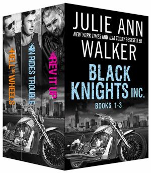 Cover of the book Black Knights Inc. Boxed Set: Volumes 1-3 by Elyse Springer