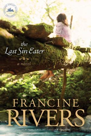 Book cover of The Last Sin Eater