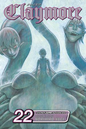 Cover of the book Claymore, Vol. 22 by Masashi Kishimoto