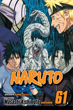 Book cover of Naruto, Vol. 61