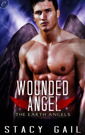 Cover of the book Wounded Angel by Natalie J. Damschroder