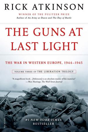 Cover of the book The Guns at Last Light by Rae Meadows