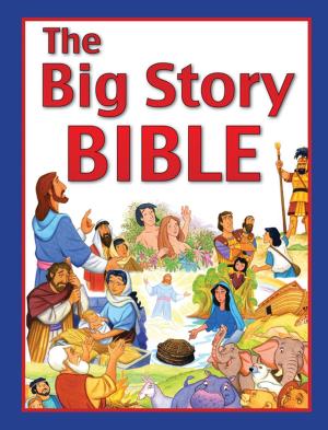 Book cover of The Big Story Bible (eBook)