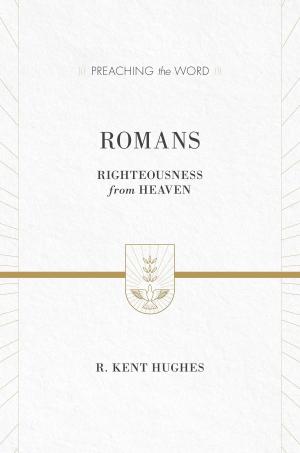 Cover of the book Romans by John Piper