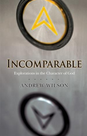 bigCover of the book Incomparable by 