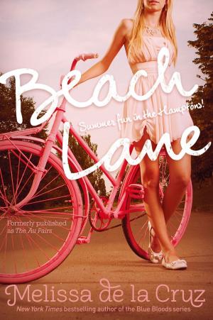 bigCover of the book Beach Lane by 