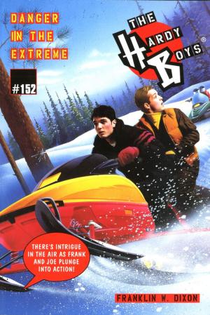 Cover of the book Danger in the Extreme by Debbie Dadey