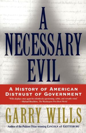 Cover of the book A Necessary Evil by Stephen H. Foreman