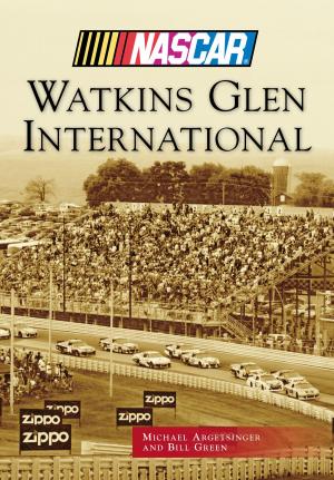 Cover of the book Watkins Glen International by Jim Williams