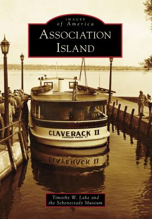 Cover of the book Association Island by Jerry Bowen