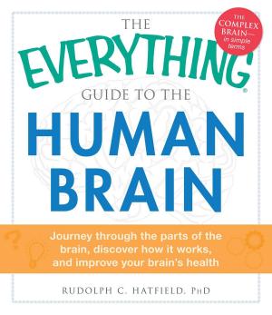 Cover of the book The Everything Guide to the Human Brain by Colleen Sell