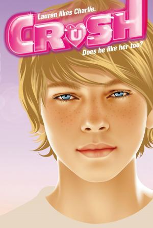 Cover of the book Lauren's Beach Crush by Angela Darling