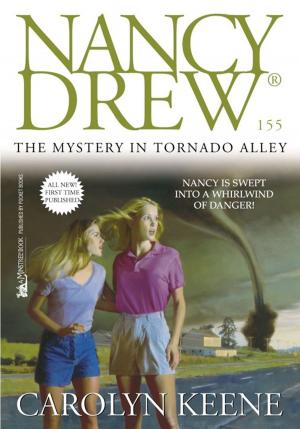 Cover of the book The Mystery in Tornado Alley by Padraic Colum