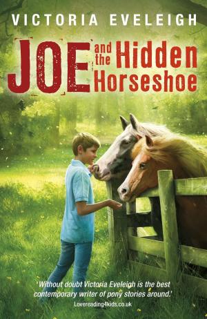 Cover of the book The Horseshoe Trilogy: Joe and the Hidden Horseshoe by Mo Farah, Kes Gray