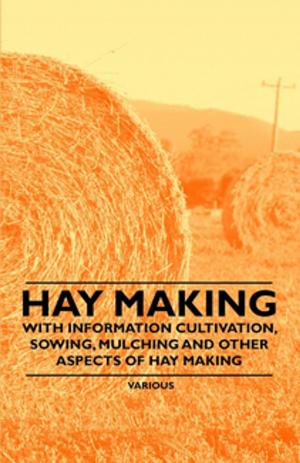 Cover of the book Hay Making - With Information Cultivation, Sowing, Mulching and Other Aspects of Hay Making by Laurence Hutton