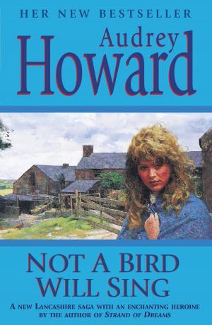 Cover of the book Not a Bird Will Sing by Gino D'Acampo