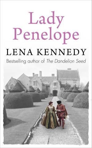Cover of the book Lady Penelope by Anna Jacobs