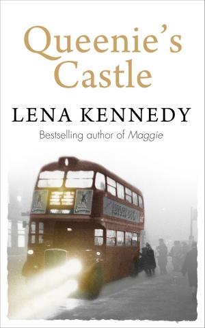bigCover of the book Queenie's Castle by 