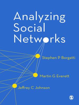 Cover of the book Analyzing Social Networks by Professor John Hughes, Professor Peter J Martin, Wes Sharrock