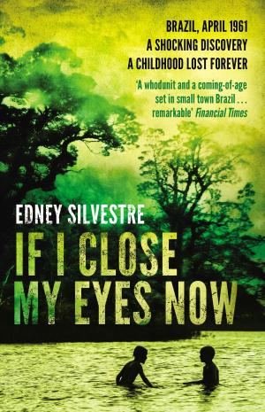 Cover of the book If I Close My Eyes Now by Su Tong