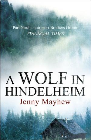 Cover of the book A Wolf in Hindelheim by Suzanne Hazenberg