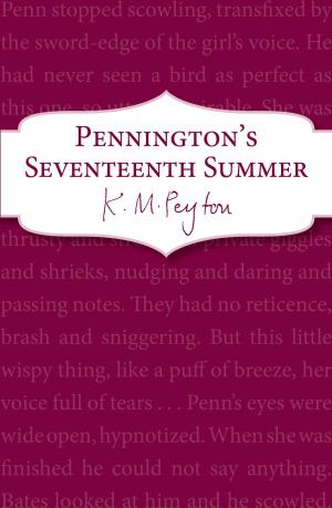 Book cover of Pennington's Seventeenth Summer