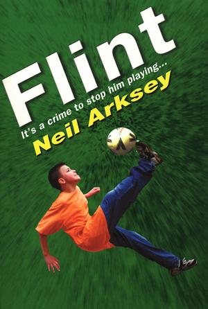 Cover of the book Flint by Andy Mulligan