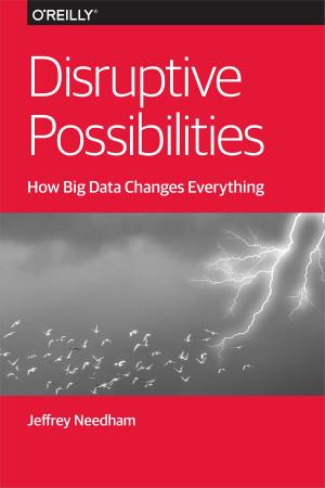 Cover of the book Disruptive Possibilities: How Big Data Changes Everything by Clarissa Peterson