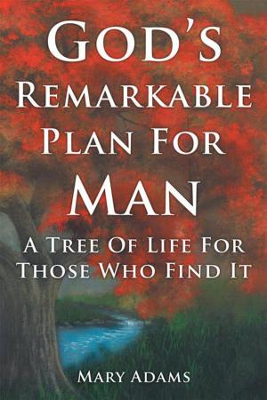 Cover of the book God's Remarkable Plan for Man by Rev. Stephen Badu-Yeboah