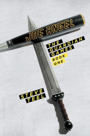 Book cover of Joe Angel