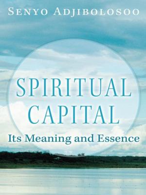 Cover of the book Spiritual Capital by Felicia Hamer